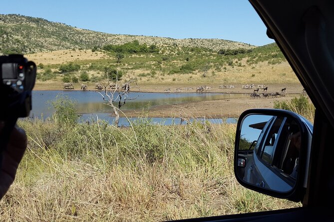 2-Days Pilanesberg best chance to view "Big 5" with private extended safari - The five-hour private safari on Day 1