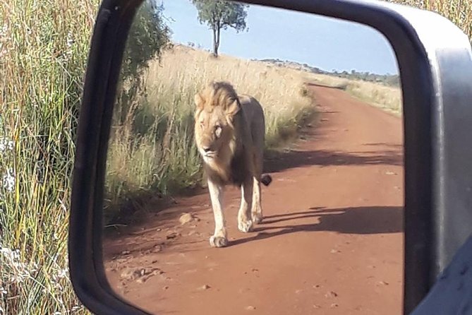 2-Days Pilanesberg best chance to view "Big 5" with private extended safari - Lunch with a view across the reserve