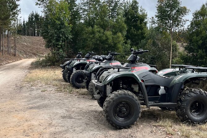 2-Hour Quad Biking Guided Excursion Through the Knysna Forests - Starting at Heads Up Coffee & Co. in Knysna