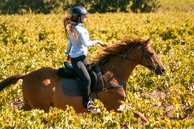 2 Hour Vineyard Trail Ride - Key points before you saddle up