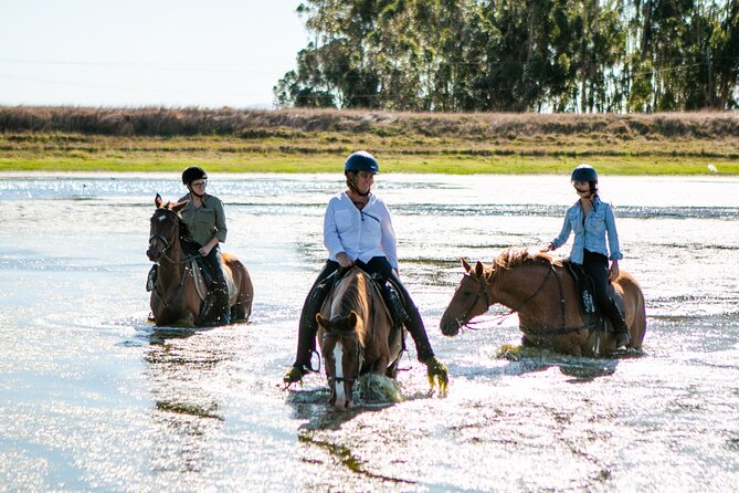 2 Hour Vineyard Trail Ride - Getting your bearings at Vredenheim