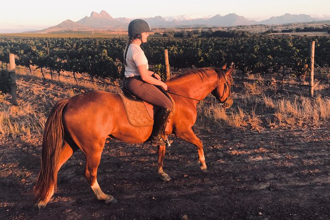 2 Hour Vineyard Trail Ride - What the guide adds to the ride