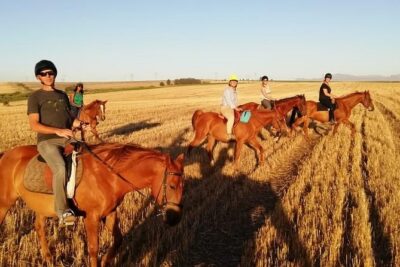 2 Hour Vineyard Trail Ride
