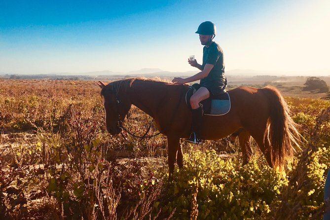 2 Hour Vineyard Trail Ride - Is $113 a fair price?