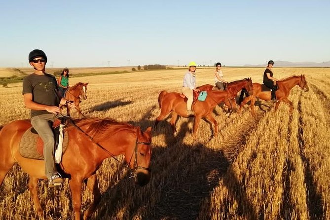 2 Hour Vineyard Trail Ride - The first lesson: useful, not just a formality