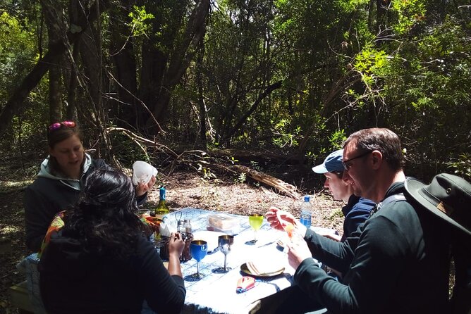 2 Night Tenikwa Experience - A free afternoon near Plettenberg Bay