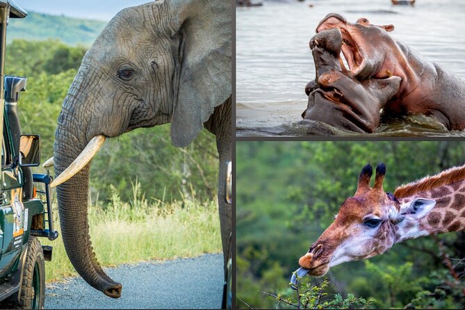 3 Day 2 Night Hluhluwe, St Lucia, Isimangaliso Tour - Key points to know before booking
