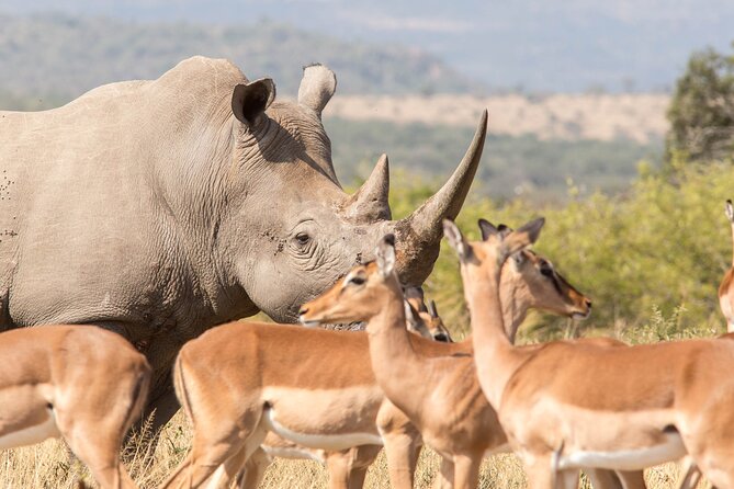 3 Day 2 Night Hluhluwe, St Lucia, Isimangaliso Tour - Heritage House and Heritage Lodge accommodation