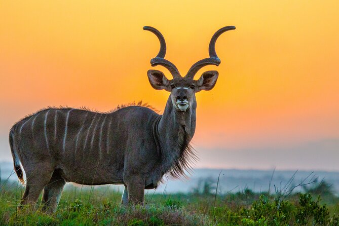 3 Day 2 Night Hluhluwe, St Lucia, Isimangaliso Tour - Guides make the difference