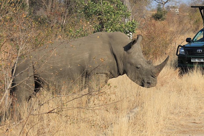 3 Day All Incl. Private Kruger Park Safari Incl. Transfer From Johannesburg - What Makes This Safari Worth Considering
