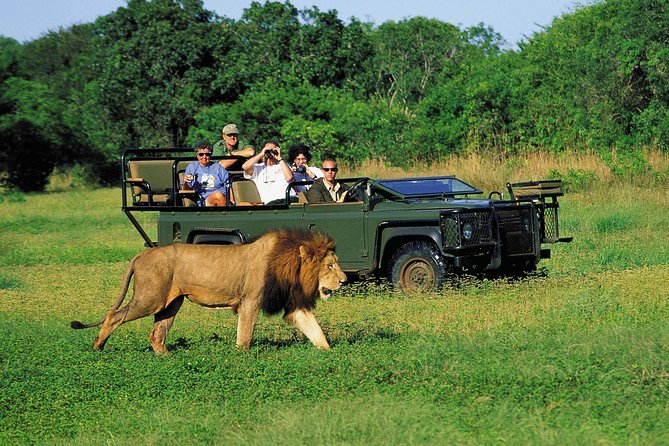 3 Day Big 5 and Bungee Tour - Garden Route Small Group Tour from Cape Town - Why this Garden Route trip works