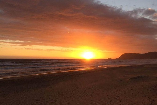 3 Day Big 5 and Bungee Tour - Garden Route Small Group Tour from Cape Town - Accommodation, meals, and the real price