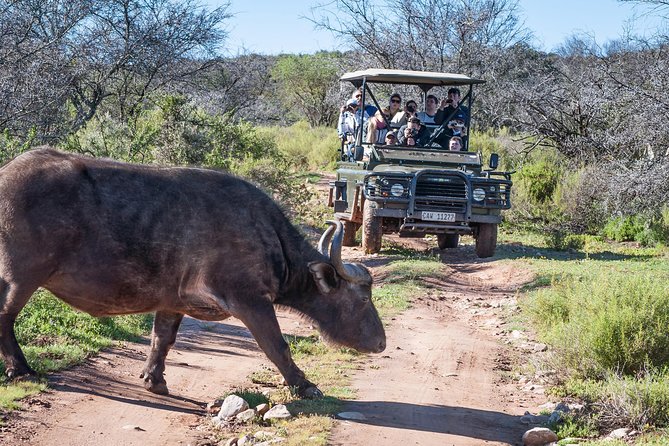 3 Day Garden Route Highlights and Safari with Private Transfers - Practical advice for making the most of it