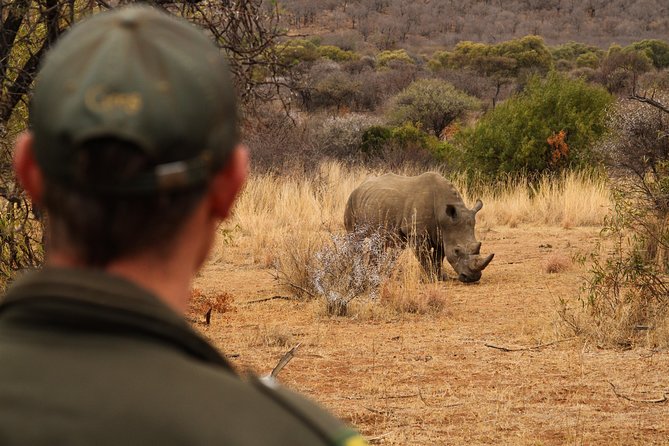 3 Day Garden Route Highlights and Safari with Private Transfers - Day 3: Botlierskop and the return to Cape Town