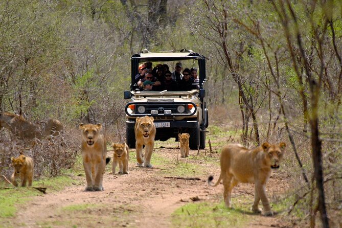 3 Day Garden Route Private Tour - What makes this Garden Route trip worth considering