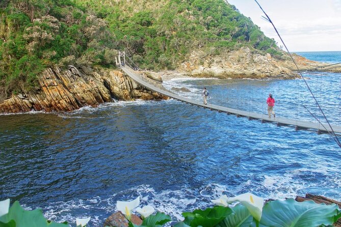 3 Day Garden Route's Best Highlights with Safari from Cape Town - What $366.62 buys you
