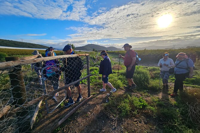 3 Day - Guided Private Wine Walk Trails and Fossil Hunt - Key Things to Know Before You Book