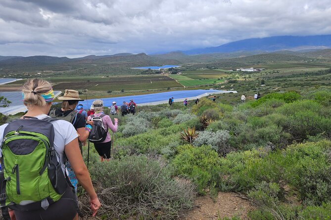 3 Day - Guided Private Wine Walk Trails and Fossil Hunt - Why This Wine Walk Feels Different