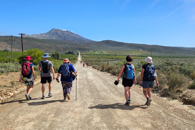 3 Day - Guided Private Wine Walk Trails and Fossil Hunt - Day 1: A Gentle Arrival at Fossil Hills