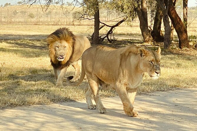 3-Day Johannesburg Tour with Pilanesberg National Park Safari - Why this three-day plan works