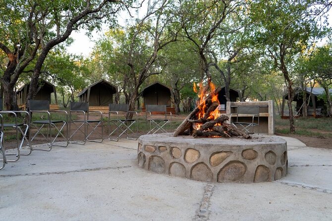 3 Day Kruger Glamping Budget Adventure - Day 2: The long Kruger drive that makes the trip worthwhile
