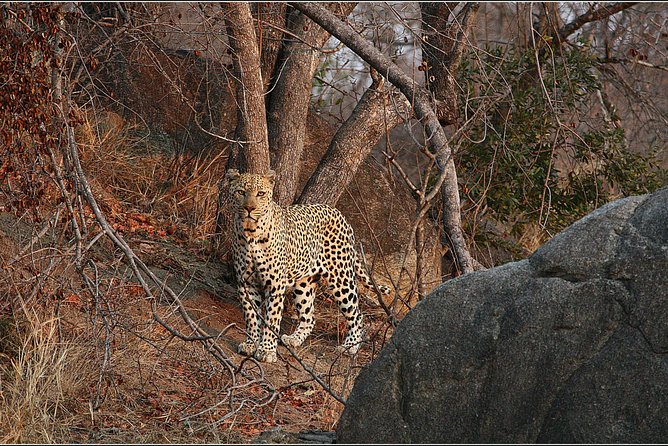3 Day Kruger National Park and Crocodile River Safari - Why the Crocodile River makes this safari different