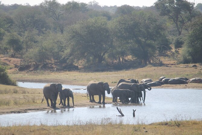 3 Day Kruger National Park and Crocodile River Safari - Day three: choose wheels or walking
