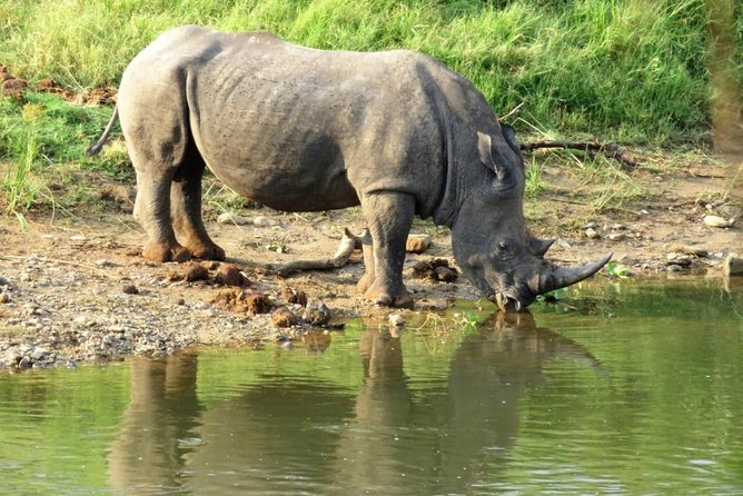 3 Day Kruger National Park and Crocodile River Safari - Practical advice before you book