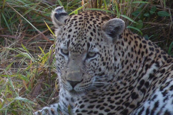 3-Day Kruger National Park Experience - What this three-day Kruger trip is really like