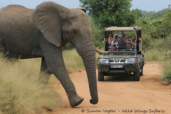 3-Day Kruger National Park Open Vehicle Safari - What the $770.68 price really covers