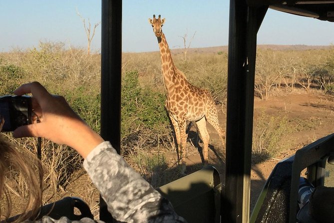 3-Day Kruger National Park Open Vehicle Safari - Day 1: Your first afternoon in Kruger