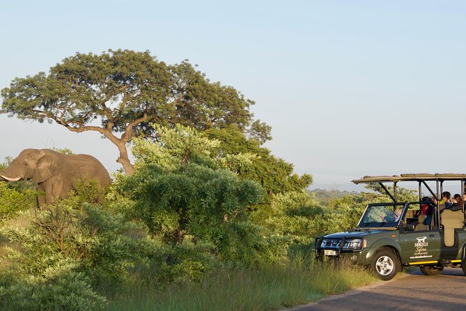 3-Day Kruger National Park Safari including Breakfast and Dinner - Food, weather, and what to pack