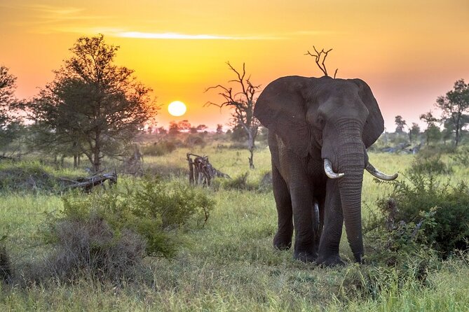 3 Day Kruger National Park Safari & Panorama Route - The Panorama Route adds more than a drive