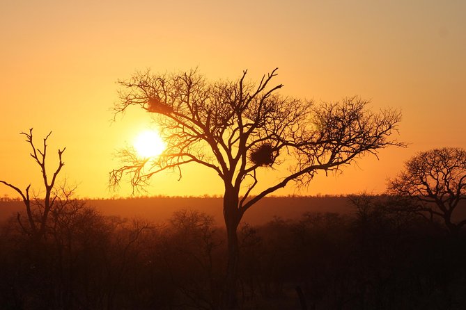 3 Day Kruger National Park tour - Key points to know before booking
