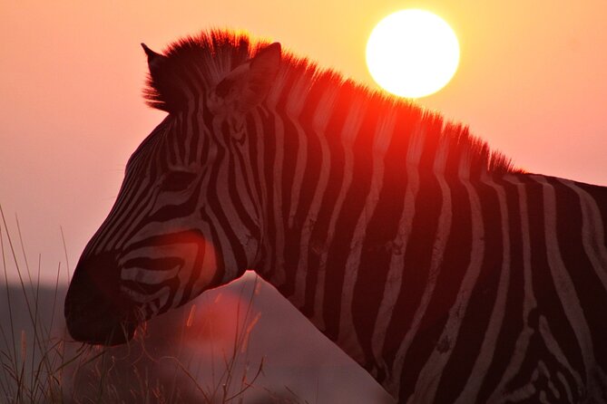 3 Day Kruger National Park tour - Day 1: O.R. Tambo Airport to the Klaserie camp