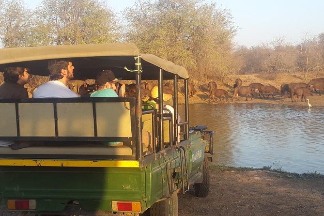 3 Day Lodge/Treehouse Kruger National Park Safari - Three Rondawels and the return to Johannesburg