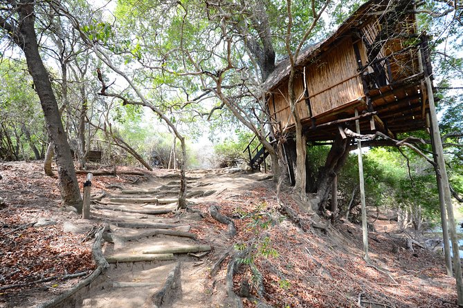 3 Day Lodge/Treehouse Kruger National Park Safari - Sunset and night drive: the tour’s best opening act