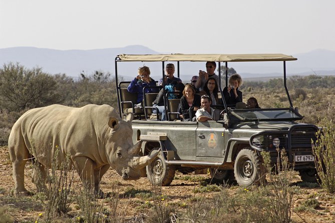 3 Day Luxury Aquila Private Game Reserve - Day Two: an early drive, breakfast, and spa time