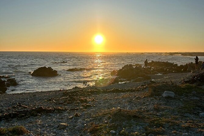 3 Day Safari and Coastal Tour from Cape Town - Who should book this tour?