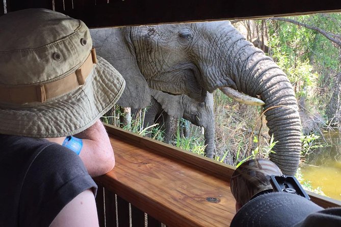 3-Day Tour of Kruger National Park from Skukuza Airport - Why Skukuza Airport Makes This Safari Efficient