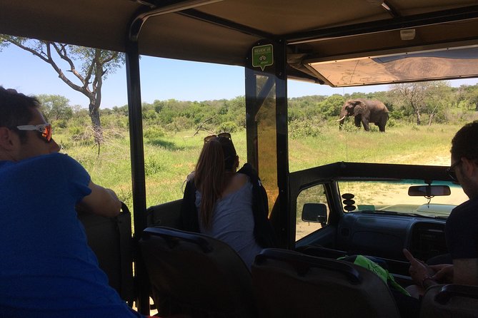 3-Day Tour of Kruger National Park from Skukuza Airport - Day 1: Check In, Then Search Until Gate Closing