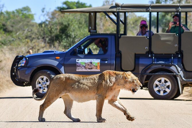 3-Day Tour of Kruger National Park from Skukuza Airport - What the Open Vehicle Adds