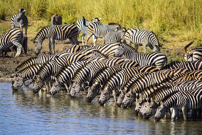 3-Day Tour of Kruger National Park from Skukuza Airport - Who Will Enjoy This Best