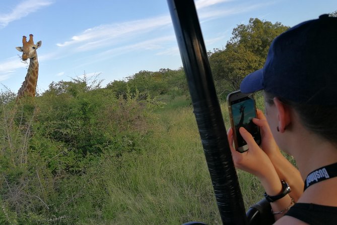 3-Day Tour of Kruger National Park from Skukuza Airport - Wildlife Expectations and the Guide’s Role