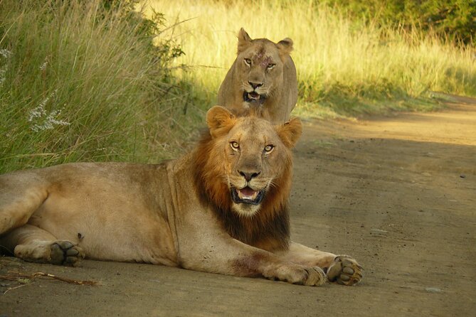 3 Days Durban Safari Tour Package - Hilltop Camp and the rhythm of Day 2