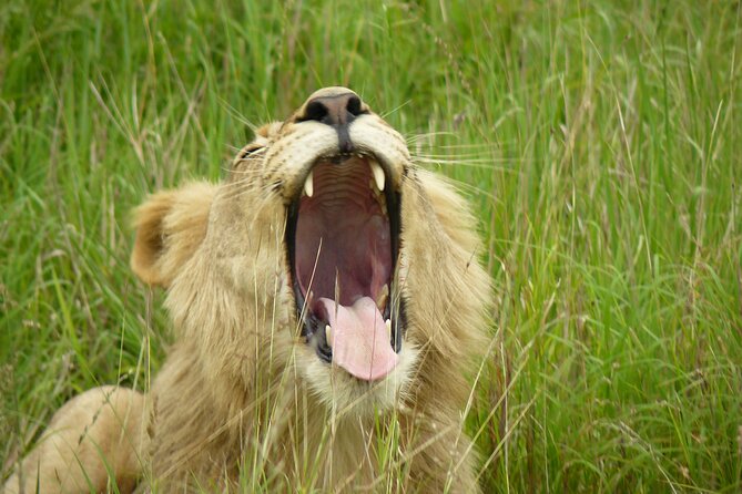 3 Days Durban Safari Tour Package - The final morning and the road to St Lucia