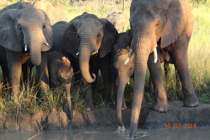 3 Days Durban Safari Tour Package - What the $685.10 price really covers