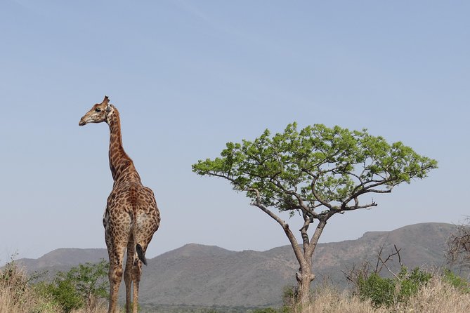 3 Days Durban Safari Tour Package - Entering Hluhluwe iMfolozi Park on Day 1