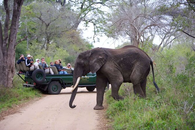 3-Days Ultra Luxury Safari at Kapama River Lodge - The long road from Johannesburg to Kapama