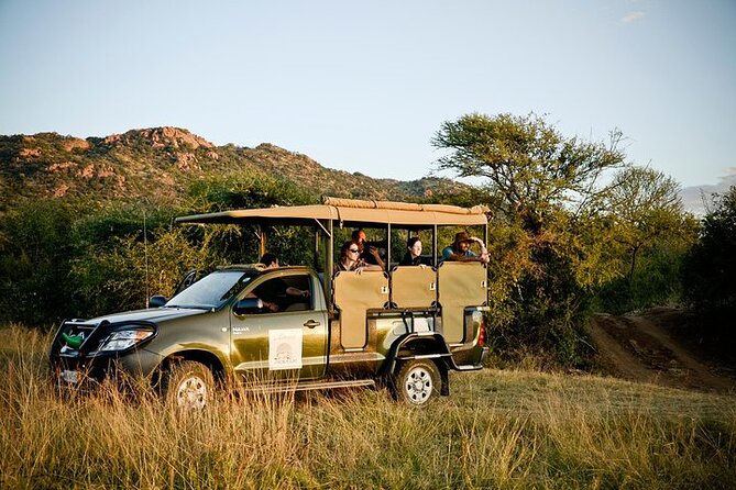 3-Hour Private Game Drive in Pilanesberg National Park - Why families seem to enjoy this format